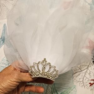 Cute Brides Veil for Bachelorette Party